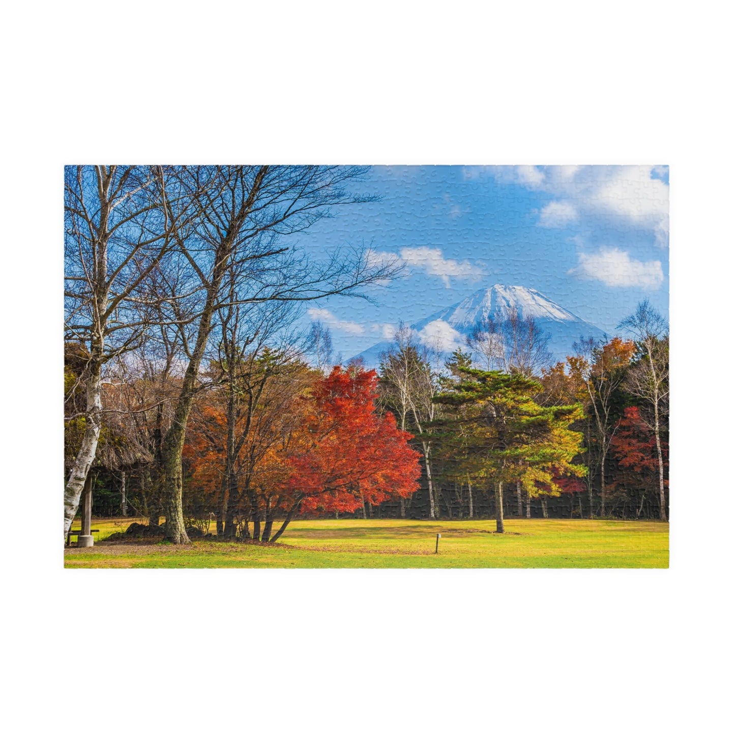 MOUNT FUJI, JAPAN Jigsaw Puzzle- 110 252 520 1014 piece options