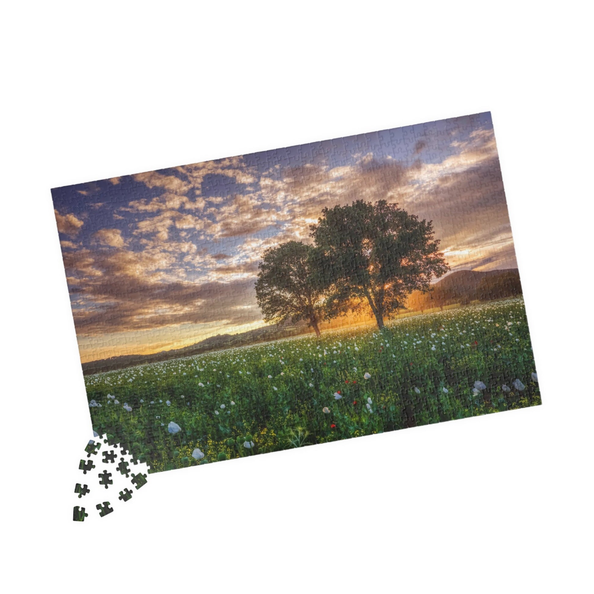PANORAMIC MEADOW, ITALY Jigsaw Puzzle- 110 252 520 1014 piece options