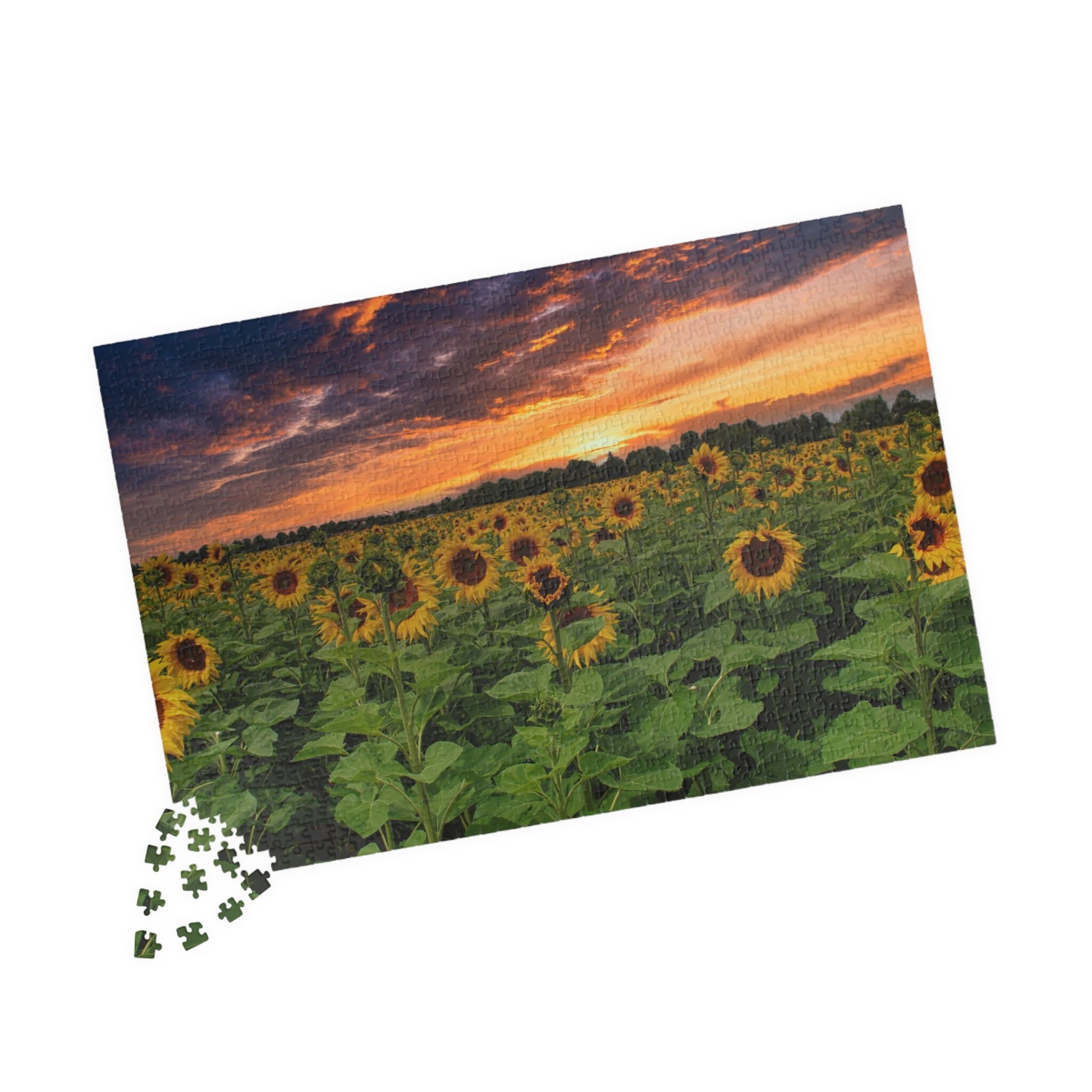 SUNFLOWER FIELDS FOREVER Jigsaw Puzzle- 110 252 520 1014 piece options